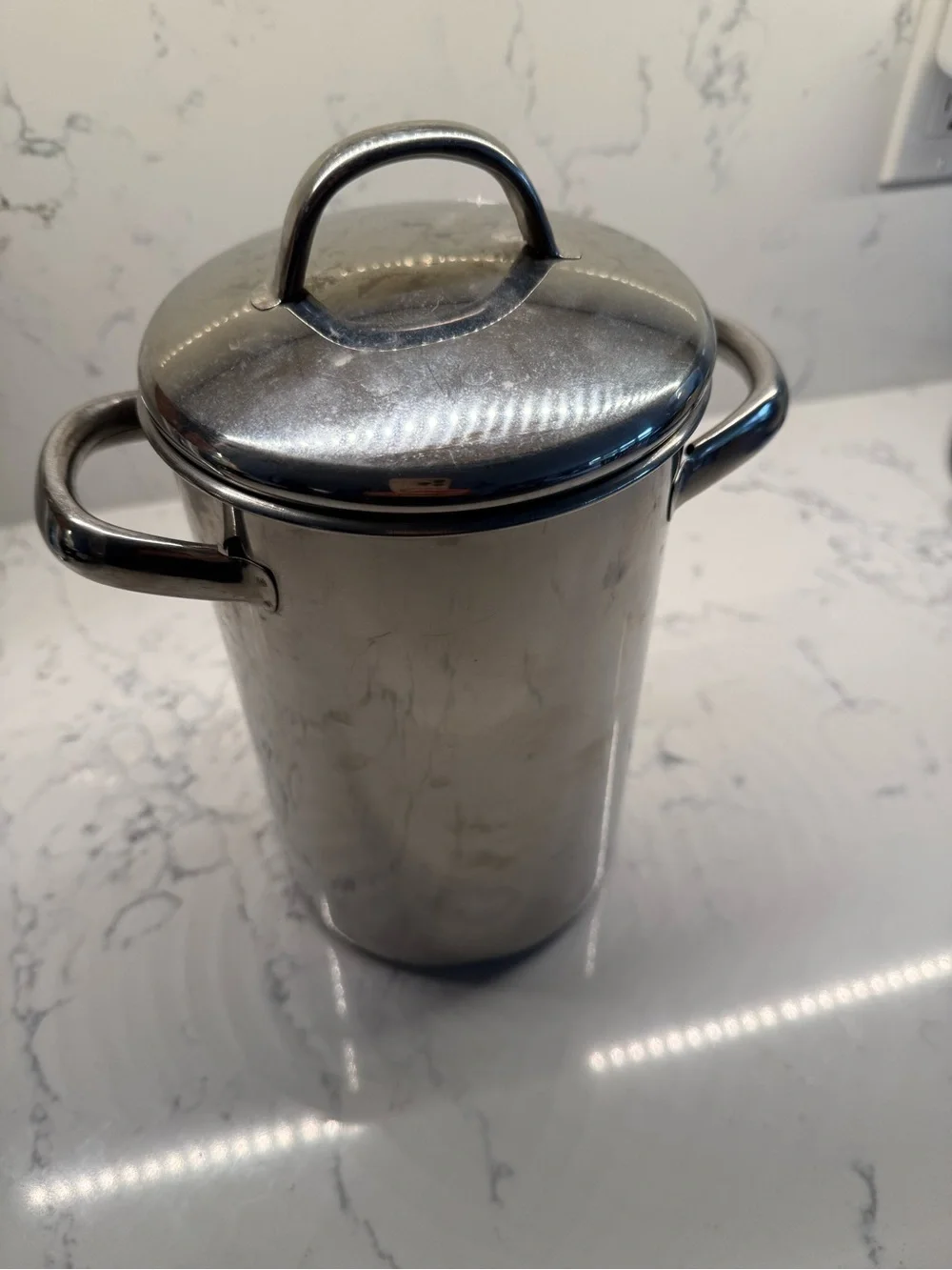 Stainless Steel Asparagus, Pasta Steamer Pot with Strainer & Lid 9” High x 6” W